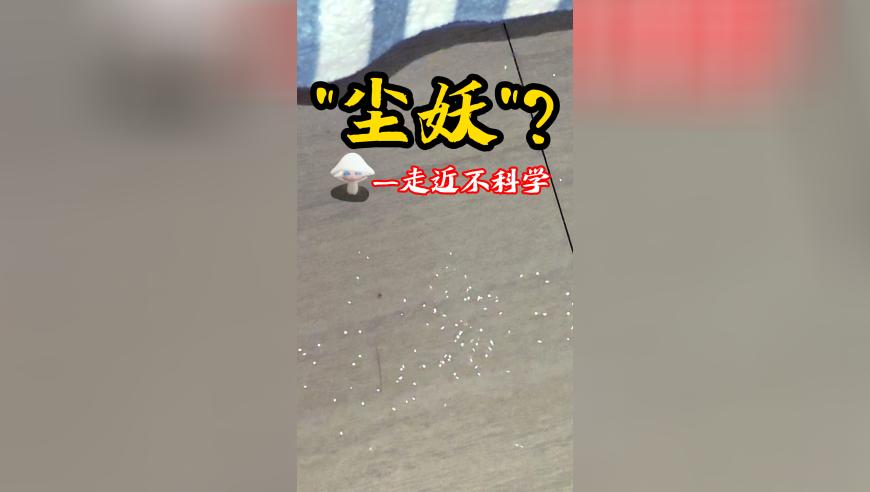 澳门管家婆一肖,全红婵妈妈收女儿金镯儿子金链,多元化方案执行策略_优选版V10.30