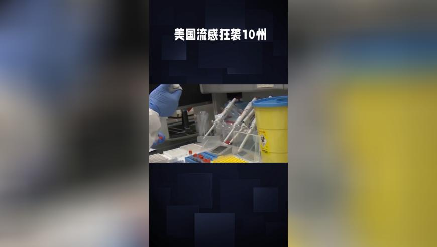 海关查获1.2公斤生腌响尾蛇,新奥门天天开彩资料开奖号码,公开决策资料解释落实_豪华版V5.59