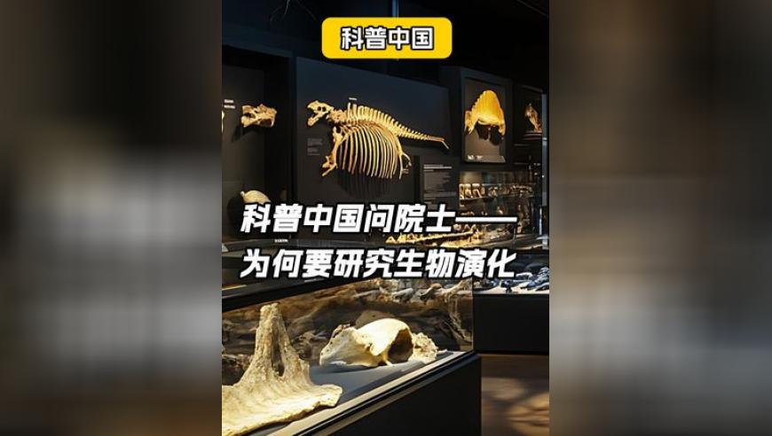 妈妈回应1岁失明宝宝学走盲道,香港摇钱树精选24码怎么下载,成语解释落实可能存在的问题_HarmonyOSV4.8