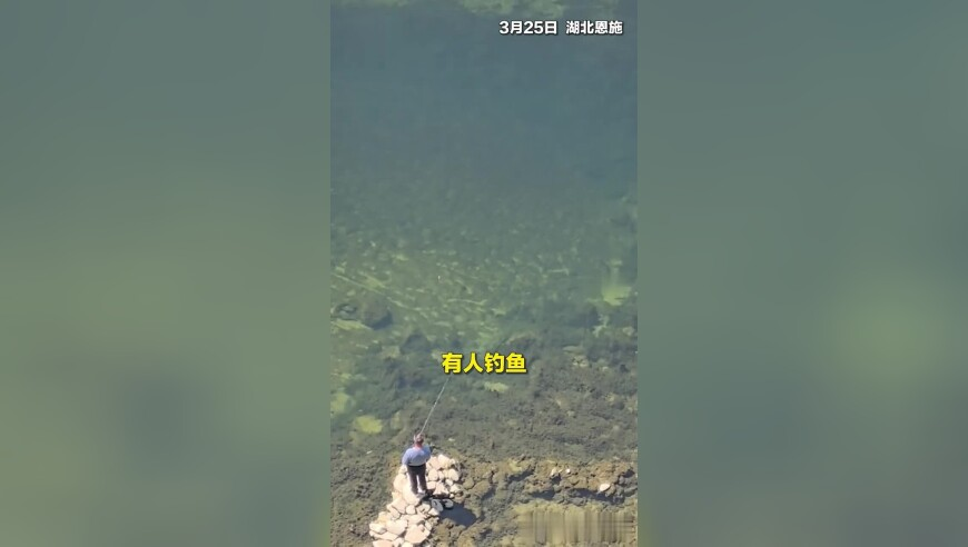 港澳六合精准资料,德国联盟党赢大选,权威独家讨论与热门话题_移动版V4.68