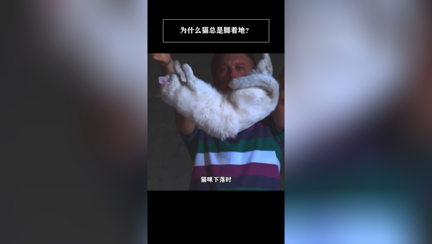 美国队长4评价如何,香港管家婆马报免费资料最新,公开决策资料解释落实_户外版V6.16